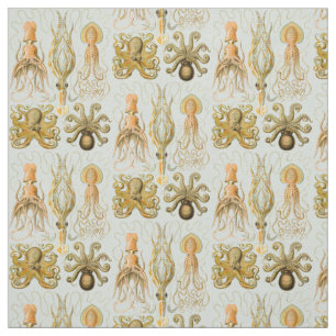 Ernst Haeckel’s Gamochonia Fabric