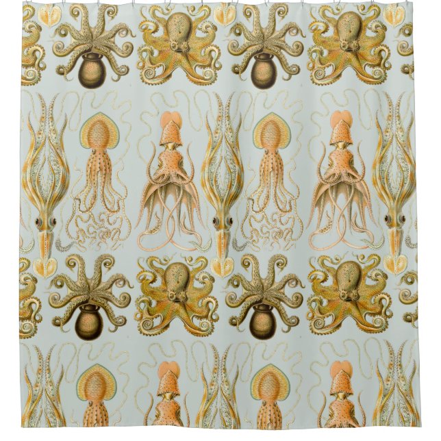 Ernst Haeckel’s Gamochonia Shower Curtain (Front)