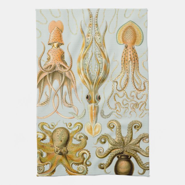 Ernst Haeckel’s Gamochonia Tea Towel (Vertical)