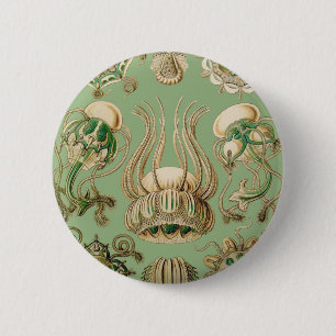 Ernst Haeckel’s Narcomedusae 6 Cm Round Badge