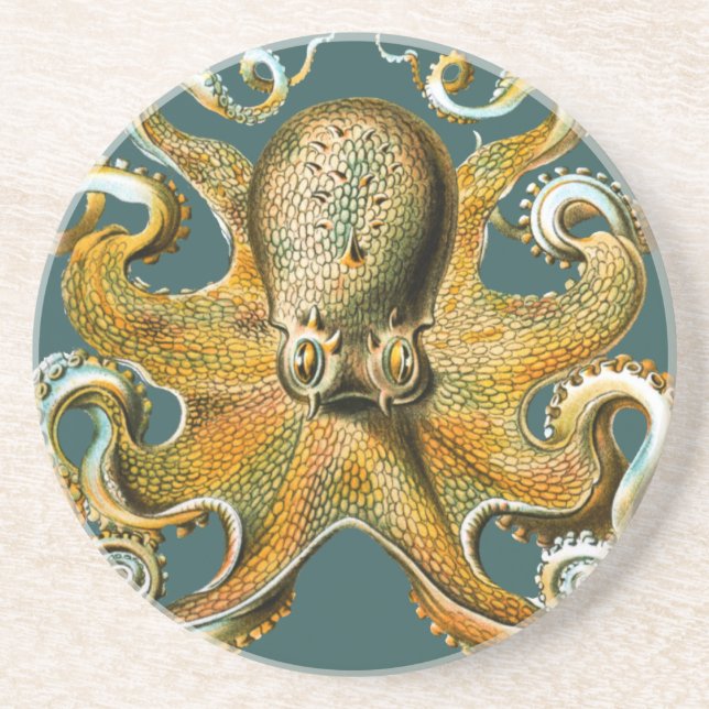 Ernst Haeckel’s Octopus Coaster (Front)