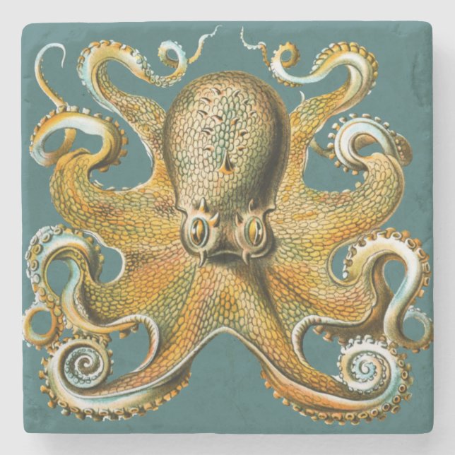 Ernst Haeckel’s Octopus Stone Coaster (Front)