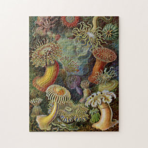 Ernst Haeckel Sea Anemones Jigsaw Puzzle