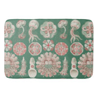 Ernst Haeckel Sea Life Pink Jellyfish Green Poster