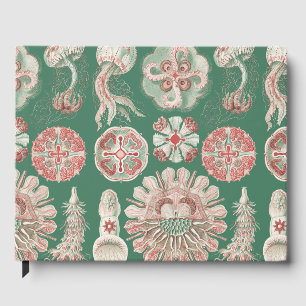 Ernst Haeckel Sea Life Pink Jellyfish Green Poster Guest Book