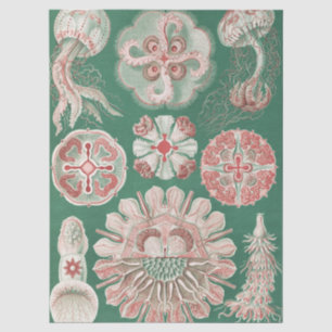 Ernst Haeckel Sea Life Pink Jellyfish Green Poster Tissue Paper