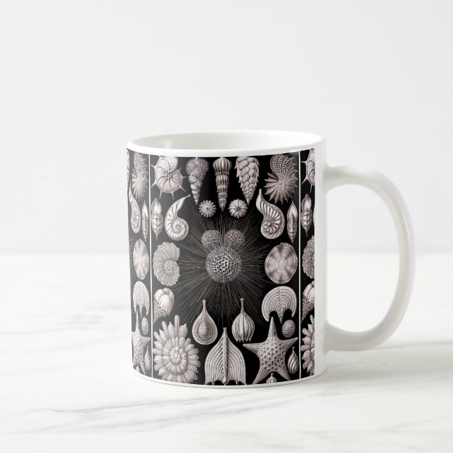 Ernst Haeckel Thalamophora I Coffee Mug (Right)
