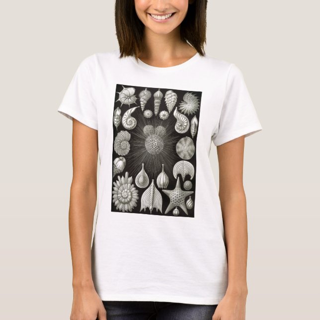 Ernst Haeckel Thalamphora T-Shirt (Front)