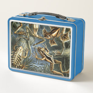 Ernst Haeckel variety of exotic frogs:Batrachia Metal Lunch Box