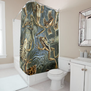 Ernst Haeckel variety of exotic frogs:Batrachia Shower Curtain