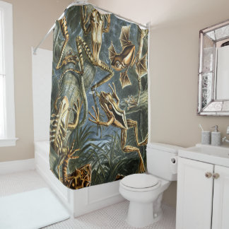 Ernst Haeckel variety of exotic frogs:Batrachia Shower Curtain