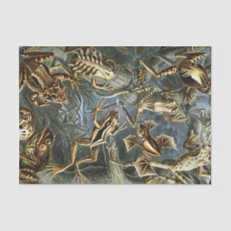 Ernst Haeckel variety of exotic frogs:Batrachia Tissue Paper