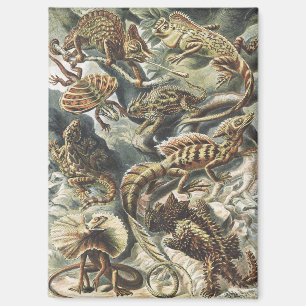 Ernst Haeckel Vintage Reptile Lizard Nature Art Magnet
