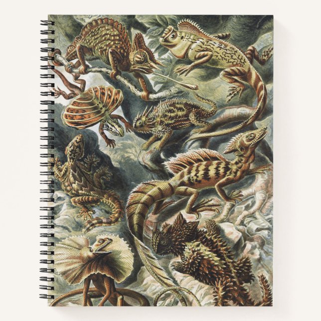 Ernst Haeckel Vintage Reptile Lizard Nature Art Notebook (Front)