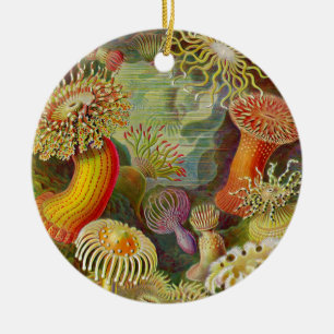 Ernst Haeckel's Actinae Ocean Life Ceramic Tree Decoration
