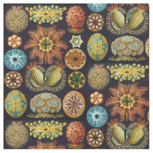 Ernst Haeckel's Ascidiae Ocean Life Fabric
