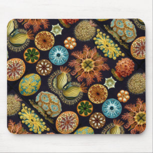Ernst Haeckel's Ascidiae Ocean Life Mouse Pad