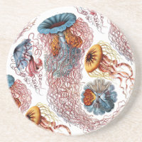 Ernst Haeckel's Disco Medusae