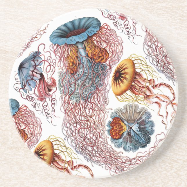 Ernst Haeckel's Disco Medusae Coaster (Front)