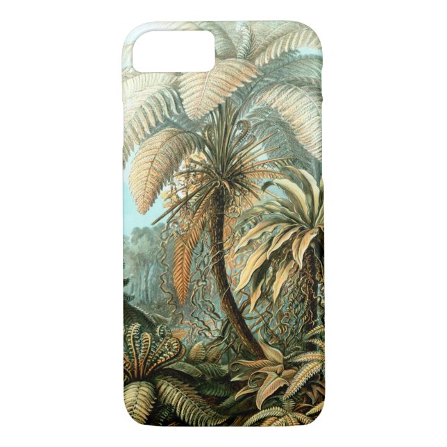 Ernst Haeckel's Filicinae (Tree Ferns) Case-Mate i Case-Mate iPhone Case (Back)