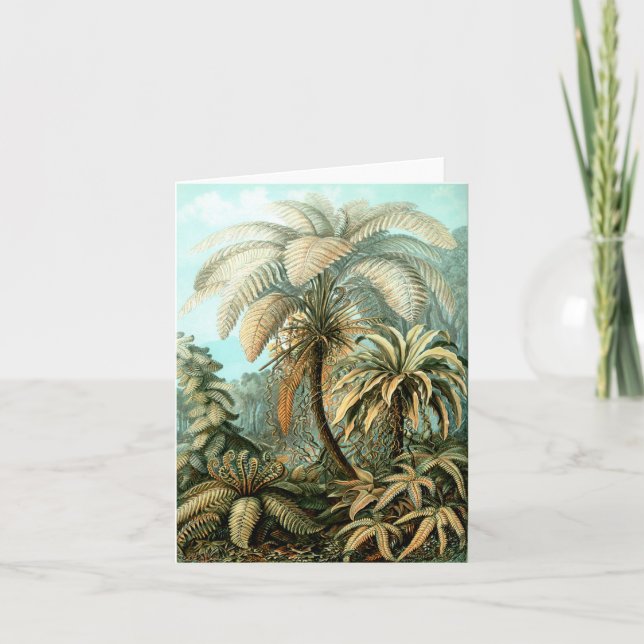 Ernst Haeckel's Filicinae (Tree Ferns) Note Card (Front)