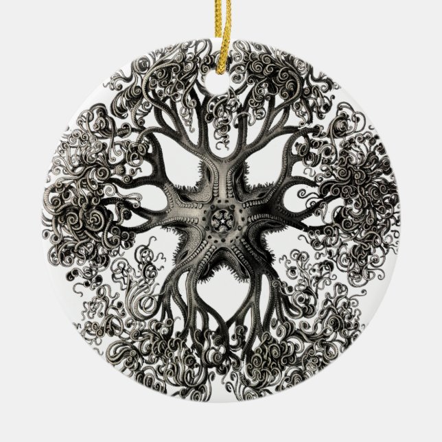 Ernst Haeckel's Gorgonocephalidae Ceramic Tree Decoration (Front)