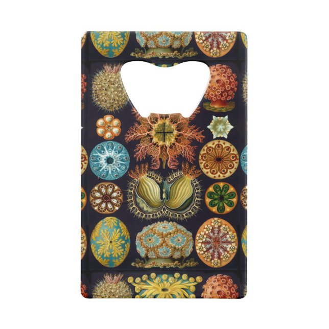Ernst Haeckel's Oceanic Wonders (Front)