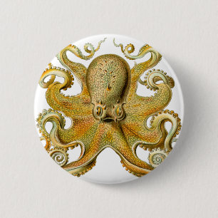 Ernst Haeckel's Octopus 6 Cm Round Badge