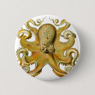 Ernst Haeckel's Octopus 6 Cm Round Badge