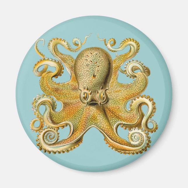 Ernst Haeckel's Octopus Magnet (Front)