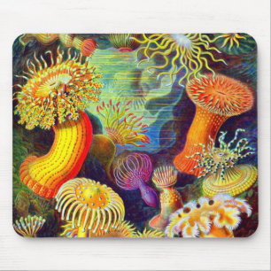 Ernst Haeckel's Sea Anemones Mouse Pad
