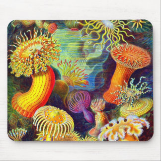 Ernst Haeckel's Sea Anemones Mouse Pad