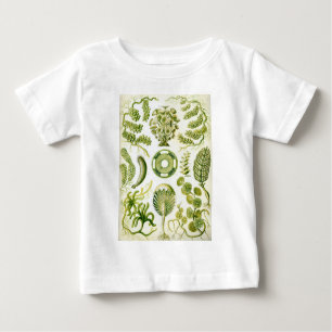 Ernst Haeckel's Siphoneae Seaweed and Algae Baby T-Shirt
