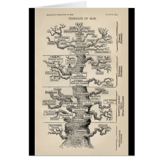 Ernst Haeckel's "tree of life"