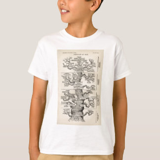Ernst Haeckel's "tree of life" T-Shirt