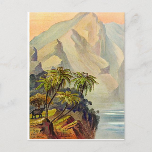 Ernst Haeckel's World's End 1882 Postcard (Front)