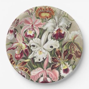 ErnstHaeckel Vintage Botanical Orchid Illustration Paper Plate