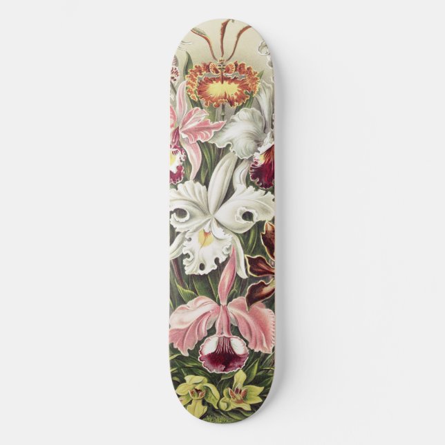 ErnstHaeckel Vintage Botanical Orchid Illustration Skateboard (Front)