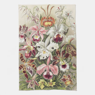 ErnstHaeckel Vintage Botanical Orchid Illustration Tea Towel