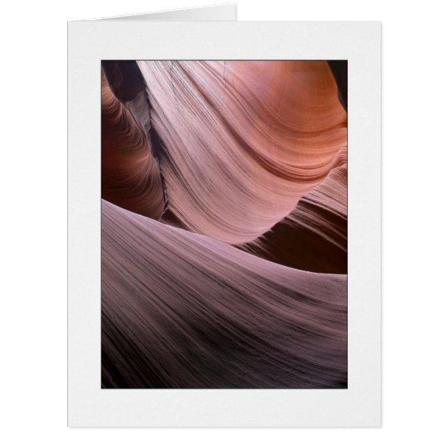 "Erosion Trails" (Front)