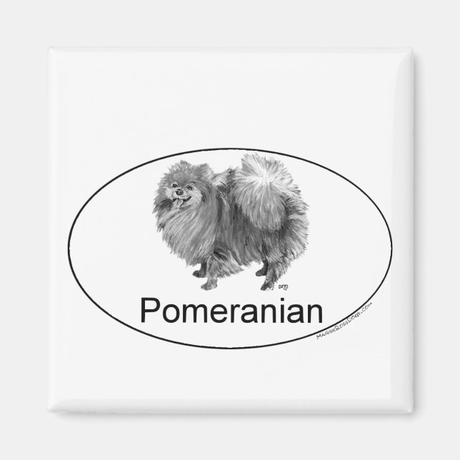 Eruo Pomeranian Dog Magnet (Front)