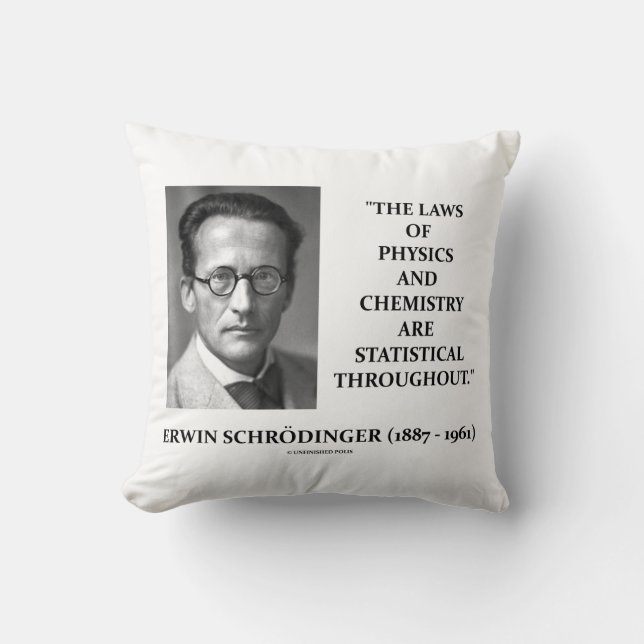 Erwin Schrödinger Physics Chemistry Statistical Cushion (Front)