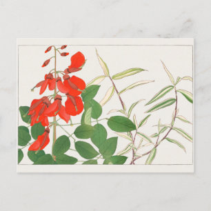 Erythrina, Panicum by Tanigami Konan Postcard