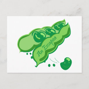 Escapea Postcard