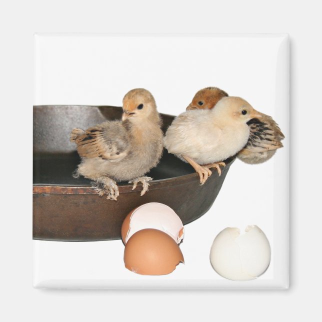 escaped breakfast magnet (Front)