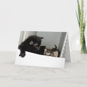 Escaping Kittens Greeting Card