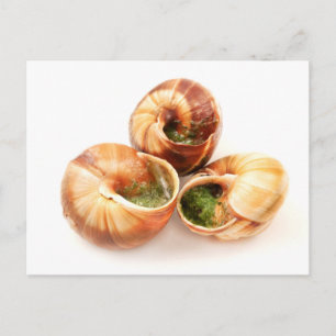 Escargots a la Bourguignonne Postcard