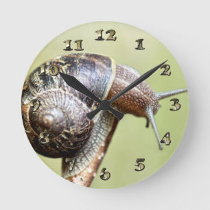 Escargots - The Rich Delight Round Clock