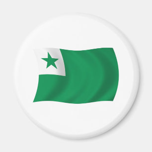 Esperanto Flag Magnet