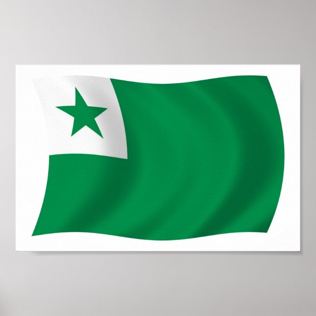 Esperanto Flag Poster Print (Front)